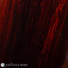 aNueNue aNN-Black Whale E_11