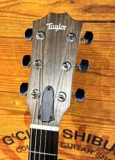 Taylor 【人気モデル】114ce【コスパ最強エレアコ】_4
