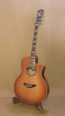 YAMAHA APX-20