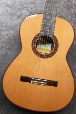 Jose Ramirez 【USED】2024年製 Estudio 140 杉・ローズウッド 【良音】【美品】【池袋店在庫品】