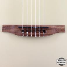 Godin Multiac Mundial Oza_9