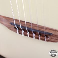 Godin Multiac Mundial Oza_10
