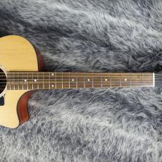 Eastman PCH1-GACE Natural_6