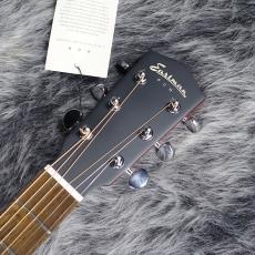 Eastman PCH1-GACE Natural_7