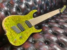 Skervesen Raptor 8_2
