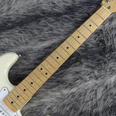 Fender Standard Stratocaster Olympic White_2