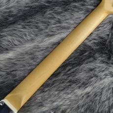 Fender Standard Stratocaster Olympic White_8