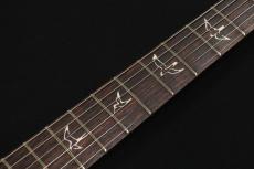 Paul Reed Smith [PRS] SWAMP ASH SPECIAL Rosewood White Doghair Smokeburst 2025_9