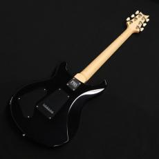 Paul Reed Smith [PRS] SWAMP ASH SPECIAL Rosewood White Doghair Smokeburst 2025_10