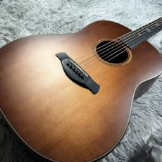 Taylor BE 517e V-Class【現物画像】10/19更新_4