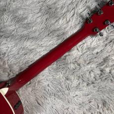 Taylor 214ce RED DLX【現物画像】10/19更新_8