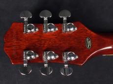 Epiphone Les Paul Special Double Cut Figured bourbon burst_9