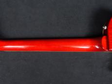 Tokai LS-101F CS_8
