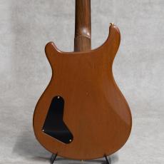 Paul Reed Smith [PRS] Modern Eagle I Brazilian Rosewood Neck Yellow Tiger / 2007_3