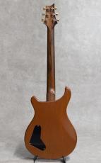 Paul Reed Smith [PRS] Modern Eagle I Brazilian Rosewood Neck Yellow Tiger / 2007_4