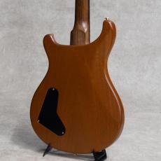 Paul Reed Smith [PRS] Modern Eagle I Brazilian Rosewood Neck Yellow Tiger / 2007_6