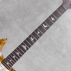 Paul Reed Smith [PRS] Modern Eagle I Brazilian Rosewood Neck Yellow Tiger / 2007_7