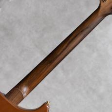 Paul Reed Smith [PRS] Modern Eagle I Brazilian Rosewood Neck Yellow Tiger / 2007_8