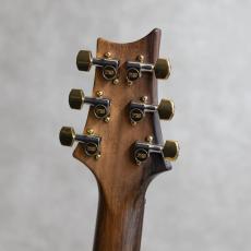 Paul Reed Smith [PRS] Modern Eagle I Brazilian Rosewood Neck Yellow Tiger / 2007_10