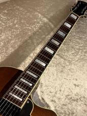 Koll Guitars 【USED】Custom Order Archtop 7-Strings Fanned Fret Model [2.70kg]【G-CLUB TOKYO】_7