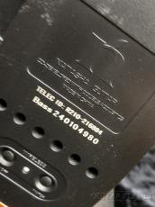 NATASHA 【Big Sale】NBSG Bass Fretless【2.03kg】_11