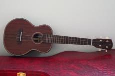 Yokoyama Guitars Concert / YU-R #202 / Indian Rosewood_2