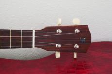 Yokoyama Guitars Concert / YU-R #202 / Indian Rosewood_5