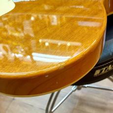Epiphone Les Paul Standard Plus Top_9