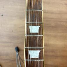 Epiphone Les Paul Standard Plus Top_10