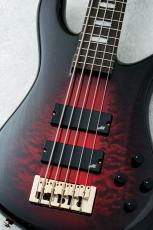 Spector Icon NS-5 Neck-Thru 5 String Purple Cherry 【4.23kg】【ショッピングクレジット無金利対象商品】_2