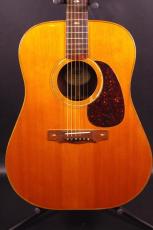 Mark Lacey  D Rosewood NT 1979