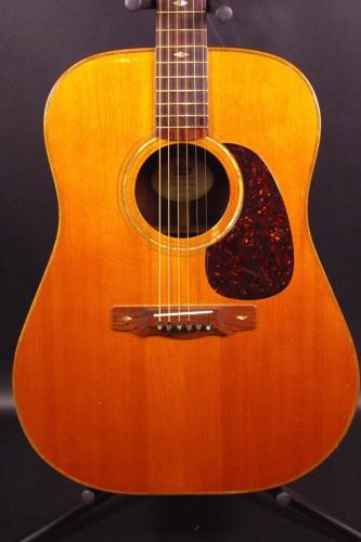 Mark Lacey  D Rosewood NT 1979