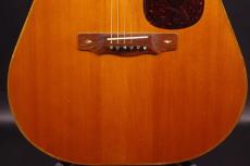 Mark Lacey  D Rosewood NT 1979_13