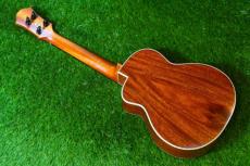 aNueNue UT110 GREEN BIRD Tenor_4