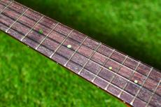aNueNue UT110 GREEN BIRD Tenor_7