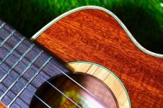 aNueNue UT110 GREEN BIRD Tenor_9