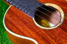 aNueNue UT110 GREEN BIRD Tenor_10
