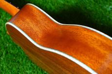 aNueNue UT110 GREEN BIRD Tenor_14