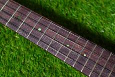 aNueNue UT110 GREEN BIRD Tenor_15