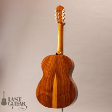 AT Guitars Bossa Nova_12