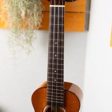 Truth THC-Custom Mahogany_5