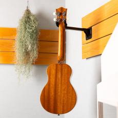 Truth THC-Custom Mahogany_12