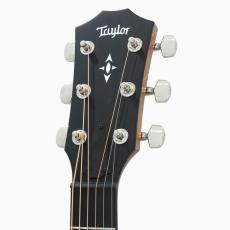 Taylor Builder's Edition 717 V-Class WHB w/L.R.Baggs Element VTC *2019_7