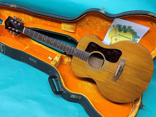 Guild  F-30 NT