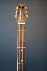 ARIA MM-100F_8