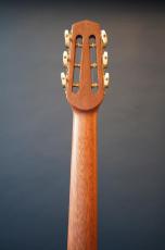 ARIA MM-100F_9