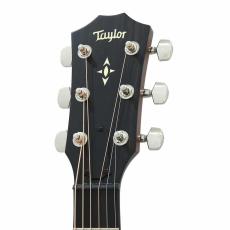 Taylor Builder's Edition 517 V-Class w/L.R.Baggs Element VTC *2019_7