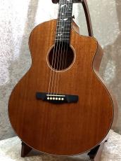 NATASHA 【G-CLUB UMEDA オープン記念セール】 Vitalis #240911578 【ツリーオブライフ・オール単板】