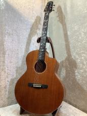 NATASHA 【G-CLUB UMEDA オープン記念セール】 Vitalis #240911578 【ツリーオブライフ・オール単板】_2