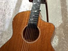 NATASHA 【G-CLUB UMEDA オープン記念セール】 Vitalis #240911578 【ツリーオブライフ・オール単板】_5